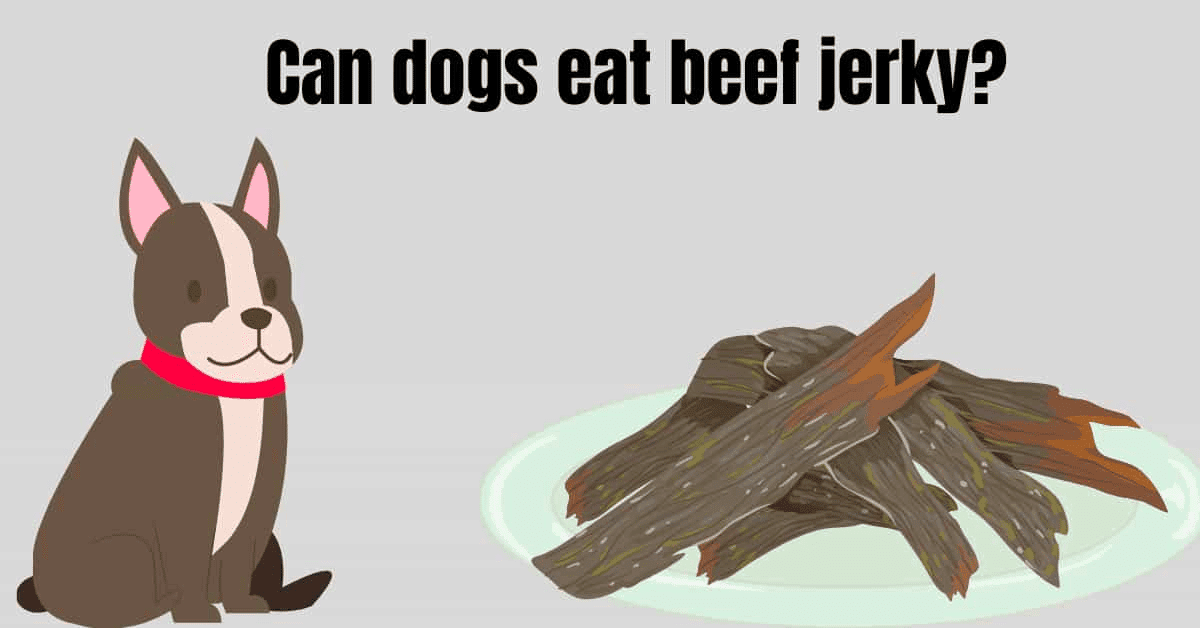 can puppies eat beef jerky